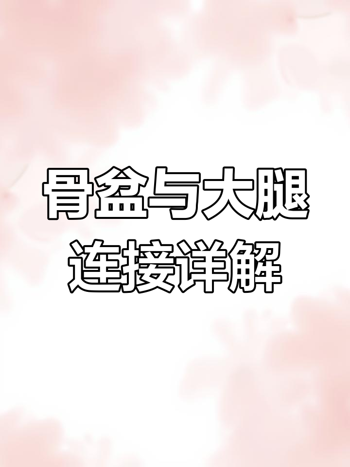 骨盆侧面结构解析:从臀大肌到大腿顶面的肌肉变化