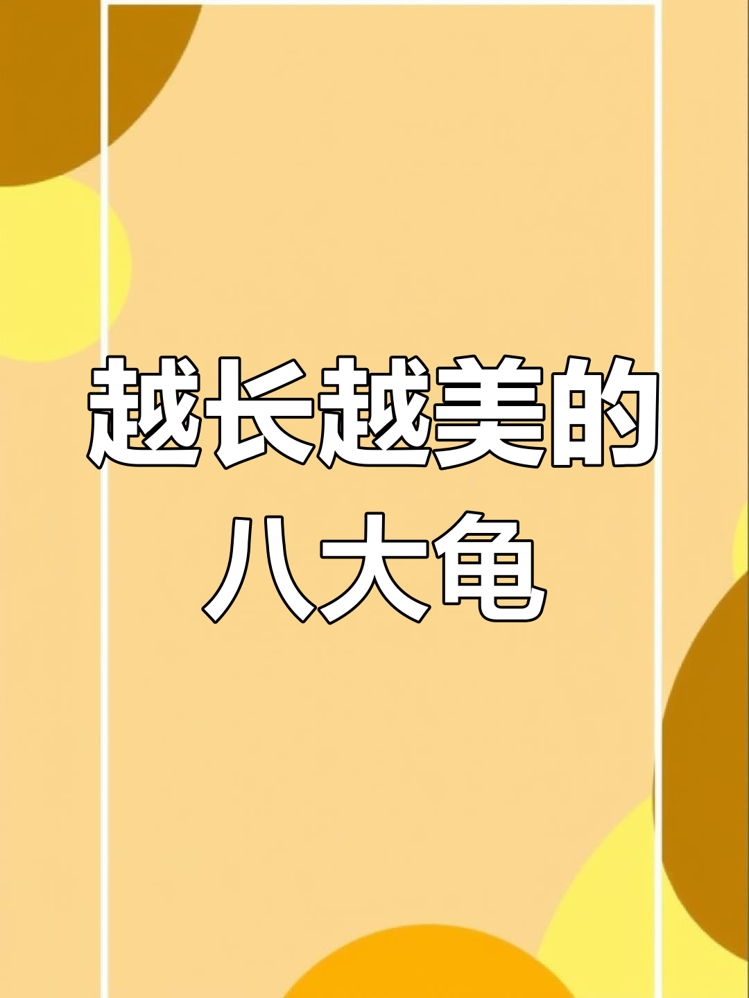 八种越长大越好看的龟,颜值逆袭让人惊艳!