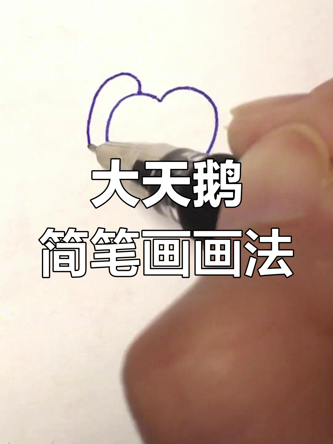 轻松学会大天鹅简笔画，简单又有趣