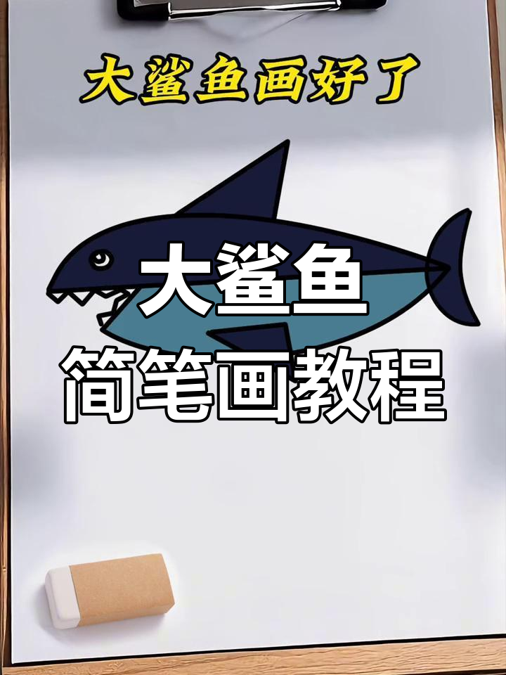 轻松学画大鲨鱼，步骤简单又有趣