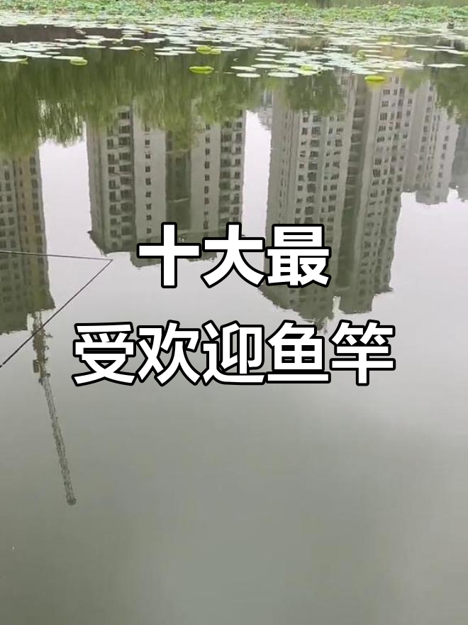 十大鱼竿品牌排名,你的选择是哪款?