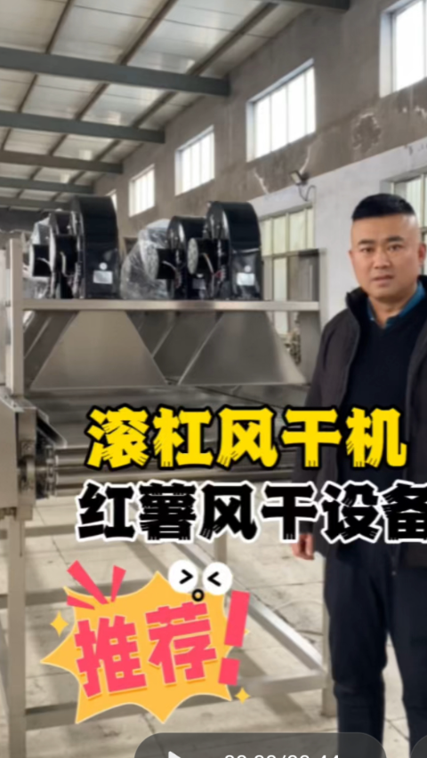 红薯清洗风干设备