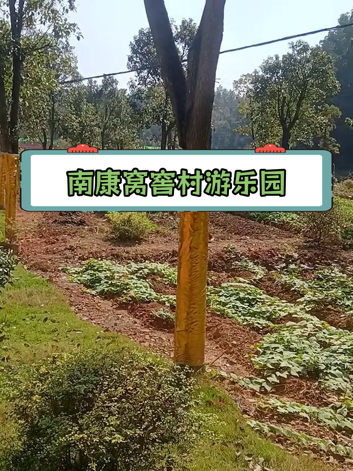 赣州南康浮石乡贝贝鱼乐园