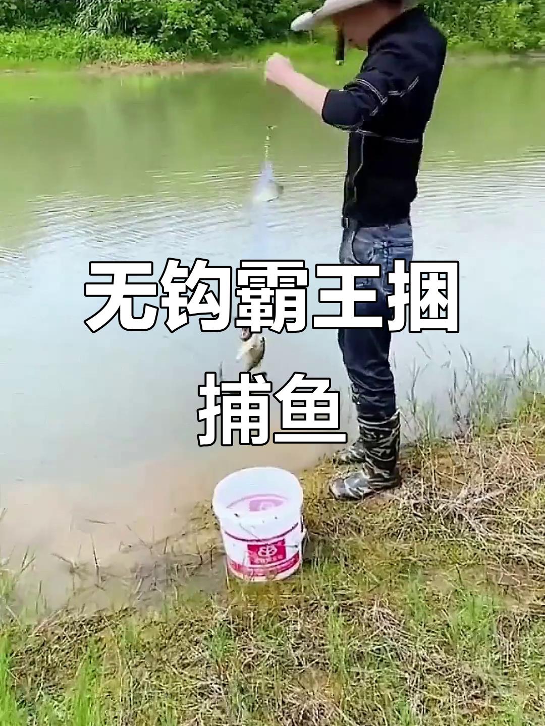 霸王捆无钩粘网,轻松捕鱼十几条