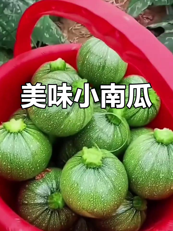 小南瓜蒸一蒸,皮薄肉嫩,香甜可口,做法超简单!