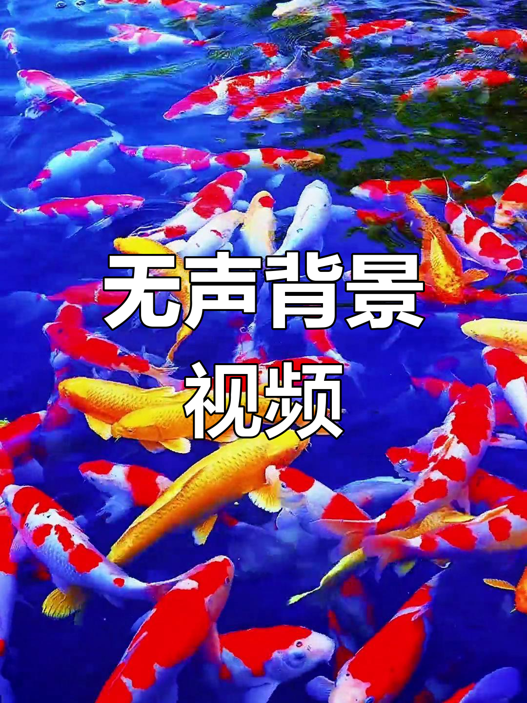 背景视频素材,无声效果展示