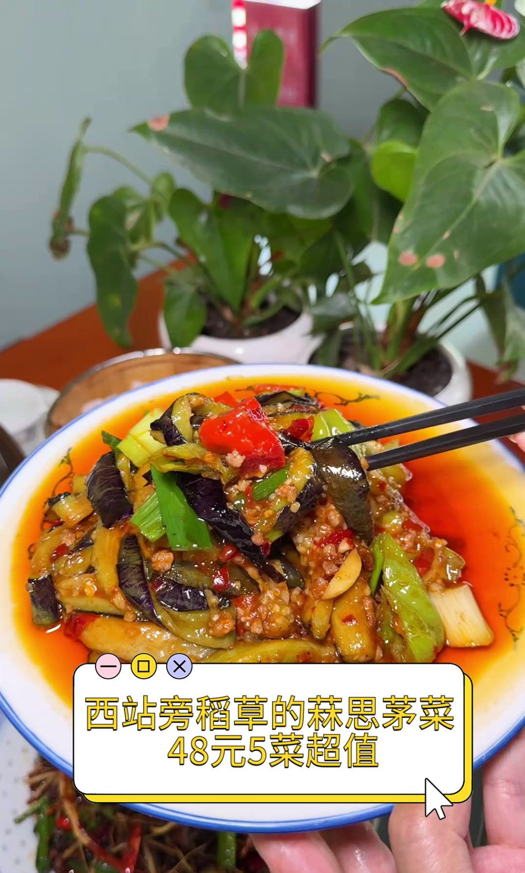 西站旁稻草的菻思茅菜,48元5菜超值