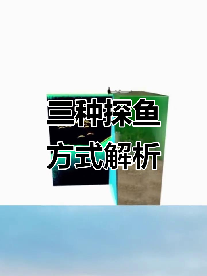 探鱼器三种声呐技术揭秘:二维、测扫与低探头