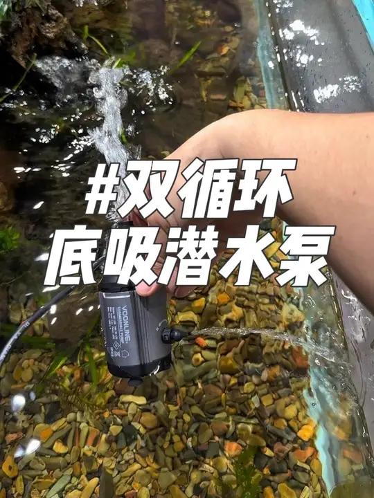 双循环底吸潜水泵 双循环底吸潜水泵、可以吹走缸底垃圾的好玩意来了#水族#鱼缸#水泵