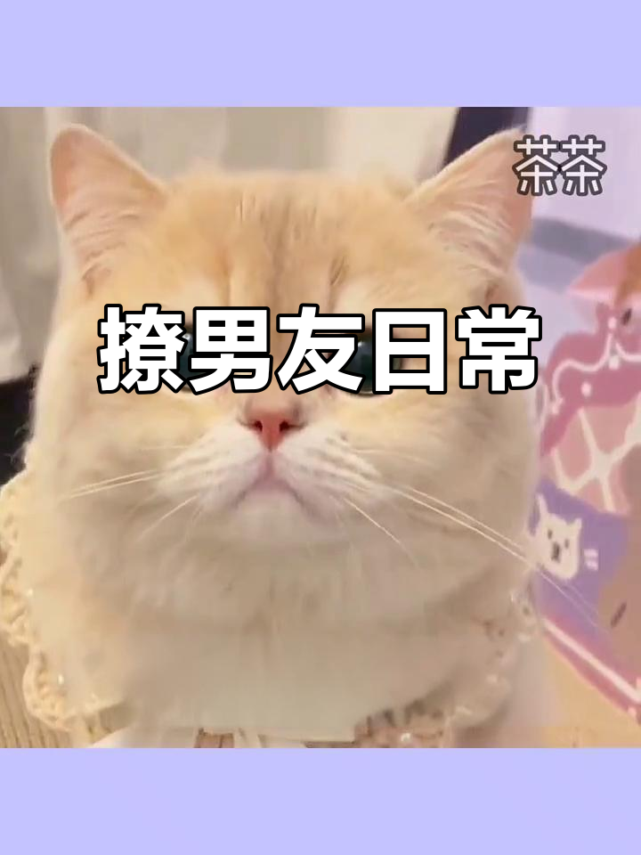 洗澡时发给男友的表情包,套路满分!