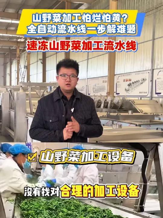 山野菜加工流水线从原材料到成品一步到位!山野菜加工设备山野菜清洗机山野菜漂烫机山野菜速冻机