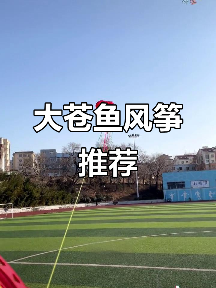 儿童大章鱼风筝,带你一起放飞梦想