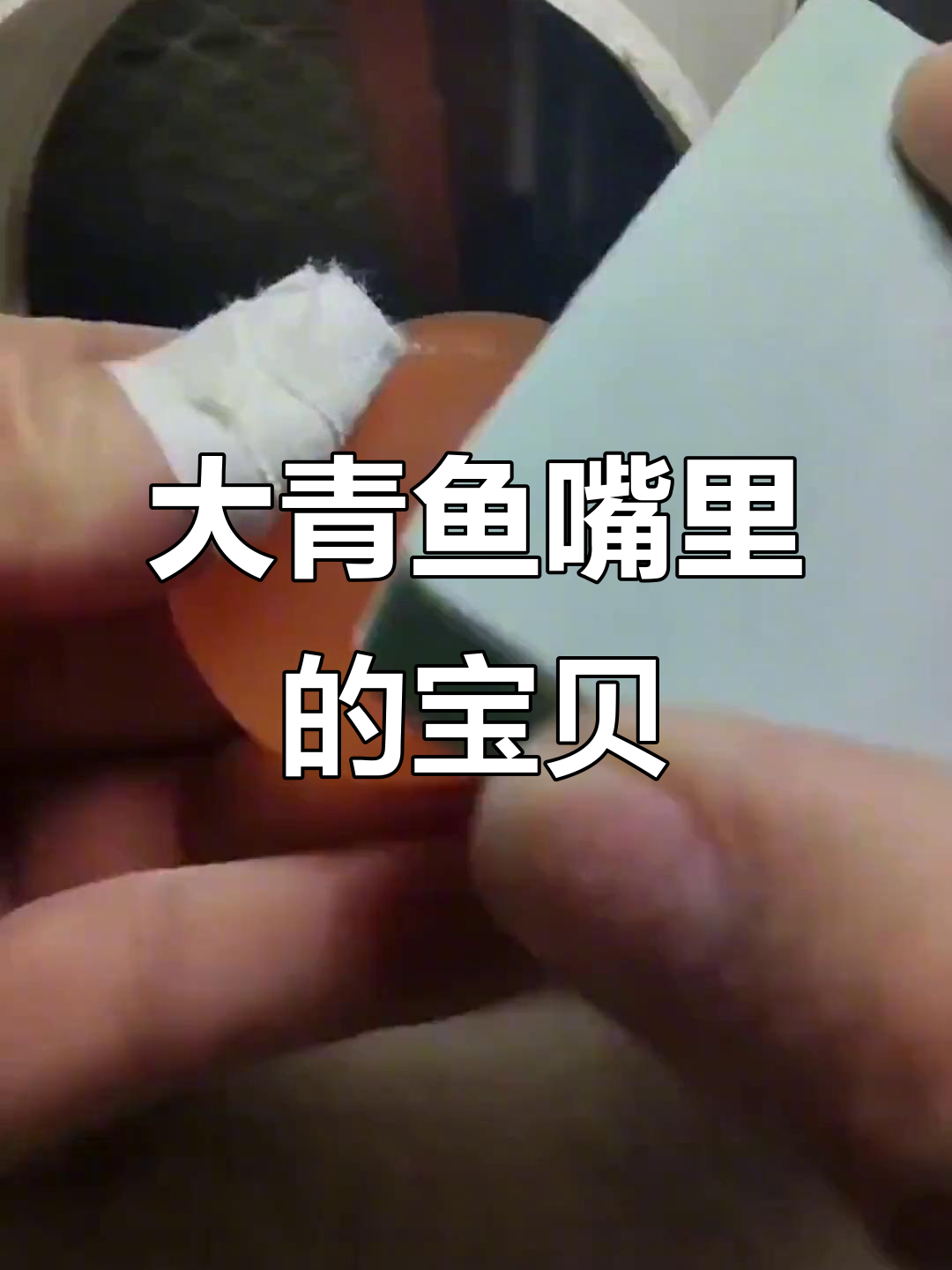 青鱼石:活玉般的秘密,竟藏在大青鱼的嘴里