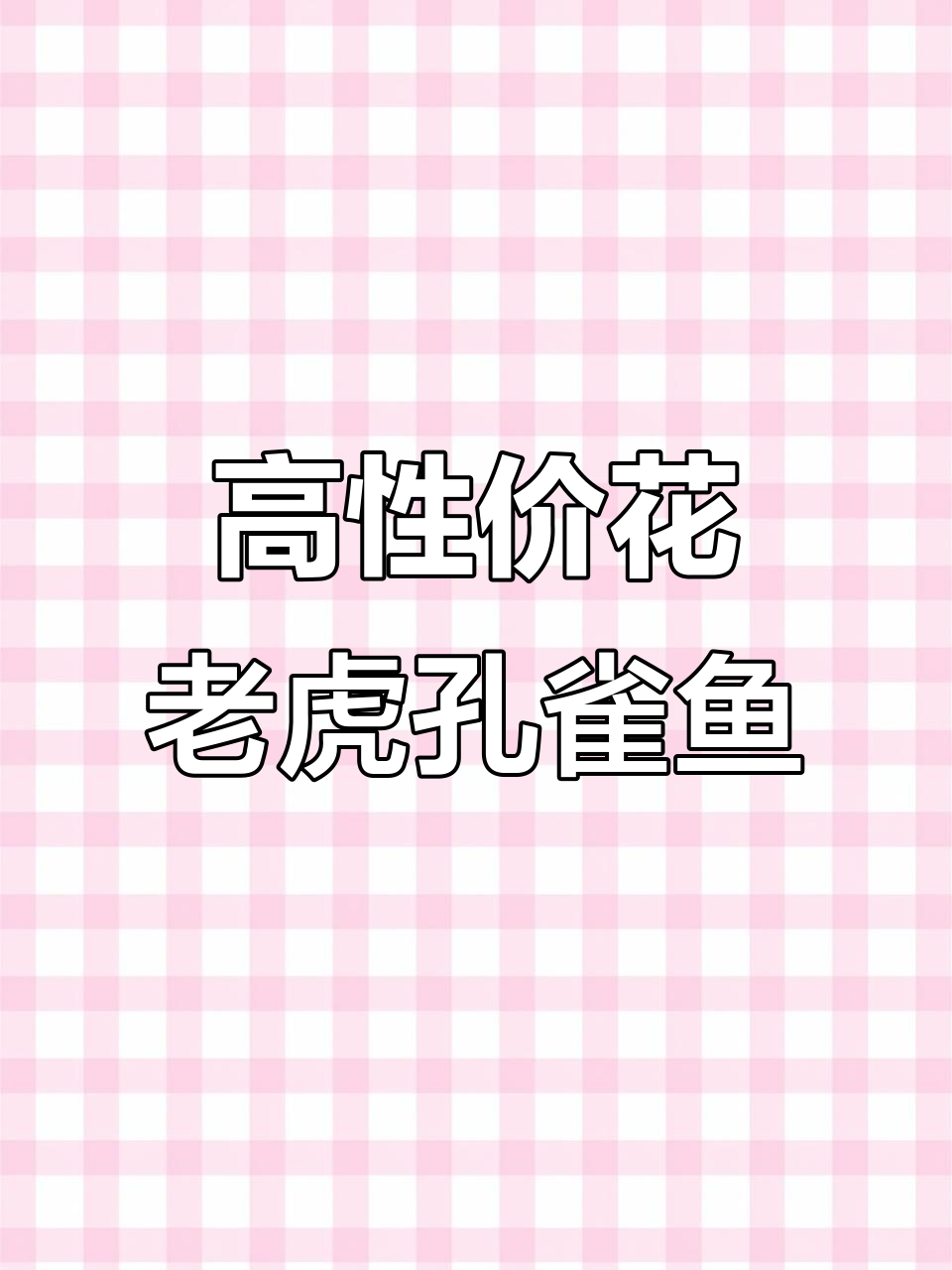 花老虎孔雀鱼:性价比高又好养,颜值在线