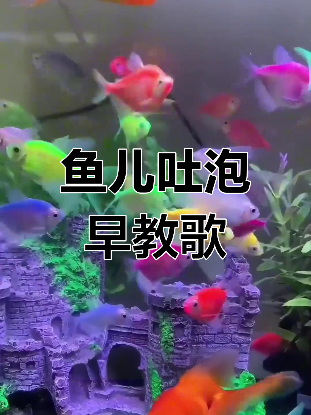 小鱼吐泡泡,宝宝早教儿歌