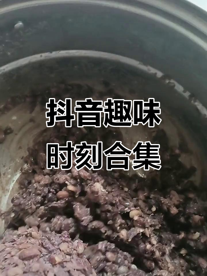 抖音上的那些搞笑瞬间，包子、豆腐都能逗你笑