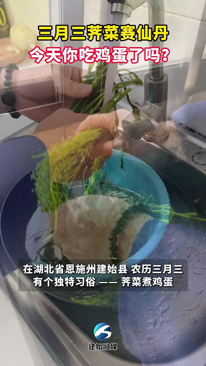 农历三月三,有个独特习俗——荠菜煮鸡蛋。传说三月初三,神农氏路过云梦泽,见乡民头痛难忍,便