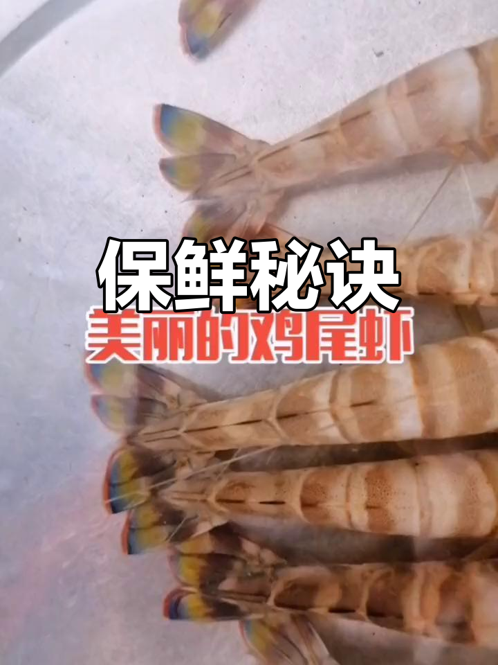 煮虾时加盐水,冷冻后依然鲜嫩如初