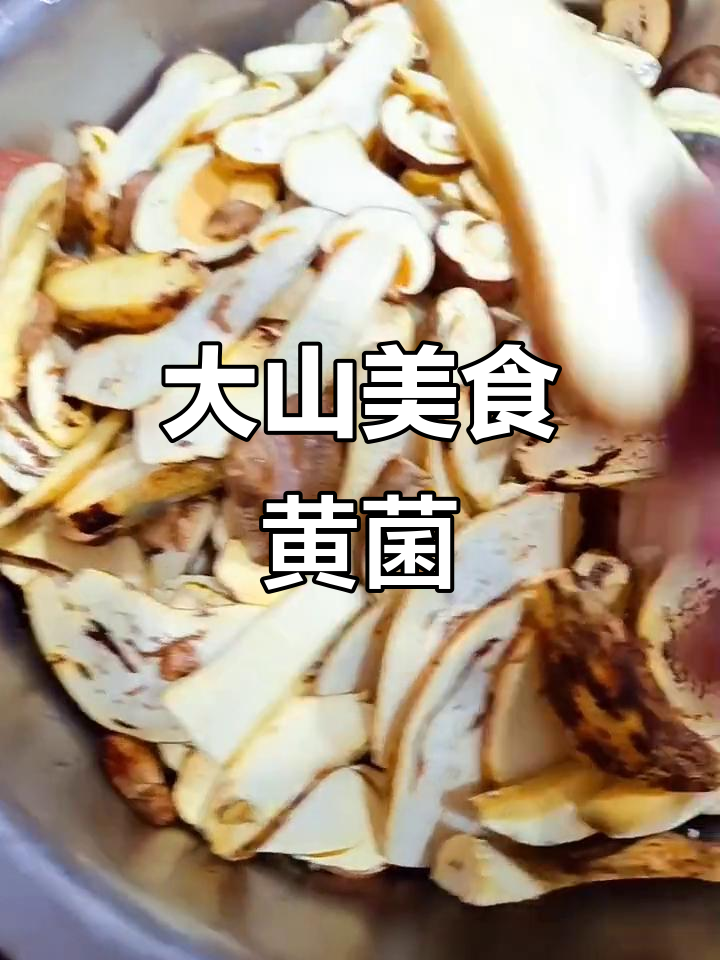 桂东黄菌,大山的美味馈赠