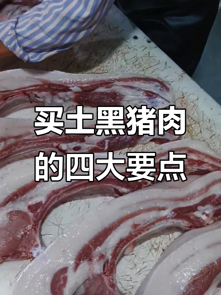 如何辨别正宗土黑猪肉，牢记这四个关键点