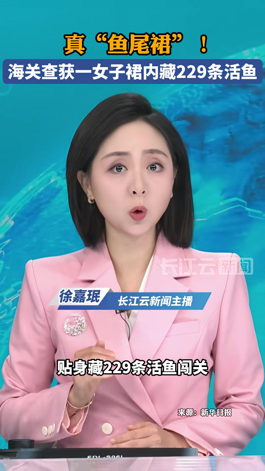 真“鱼尾裙”!海关查获一女子裙内藏229条活鱼