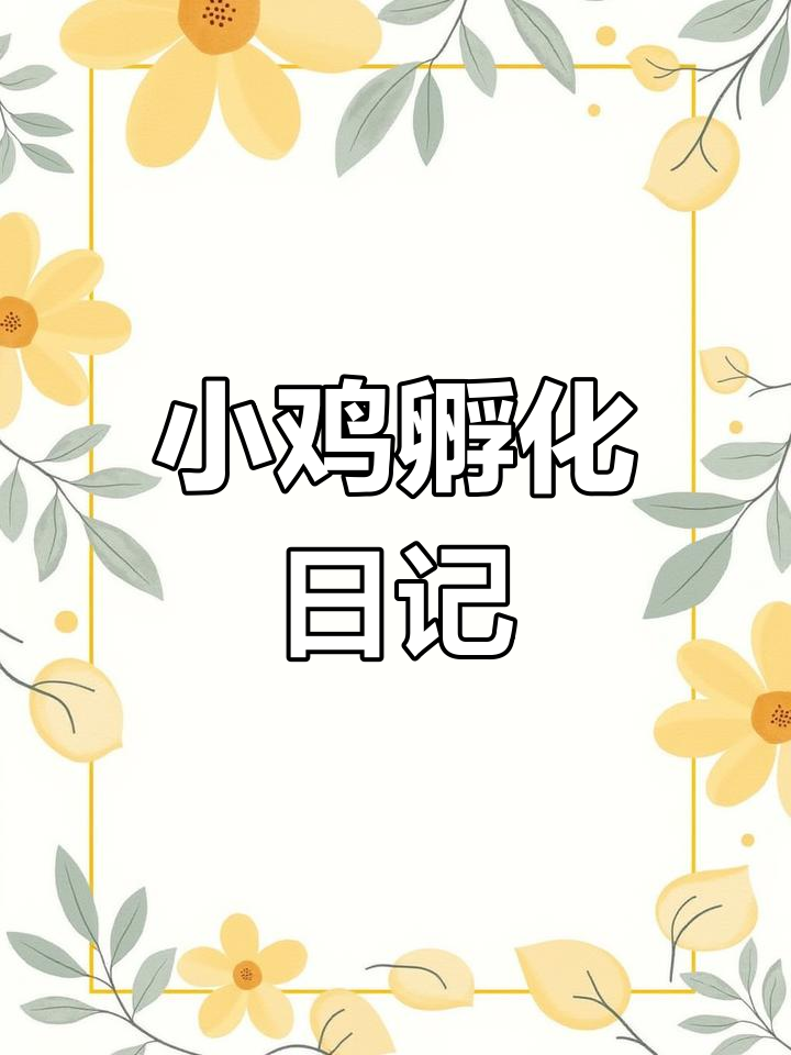 21天孵小鸡全纪录,土鸡孵化全过程揭秘