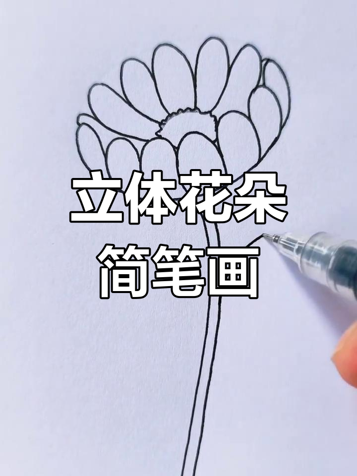 简单步骤教你立体花朵画法,轻松画出美丽花形