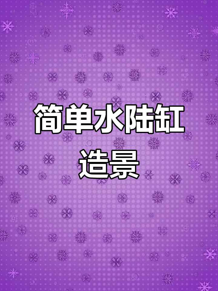 水陆缸造景技巧大揭秘,轻松打造溪流效果