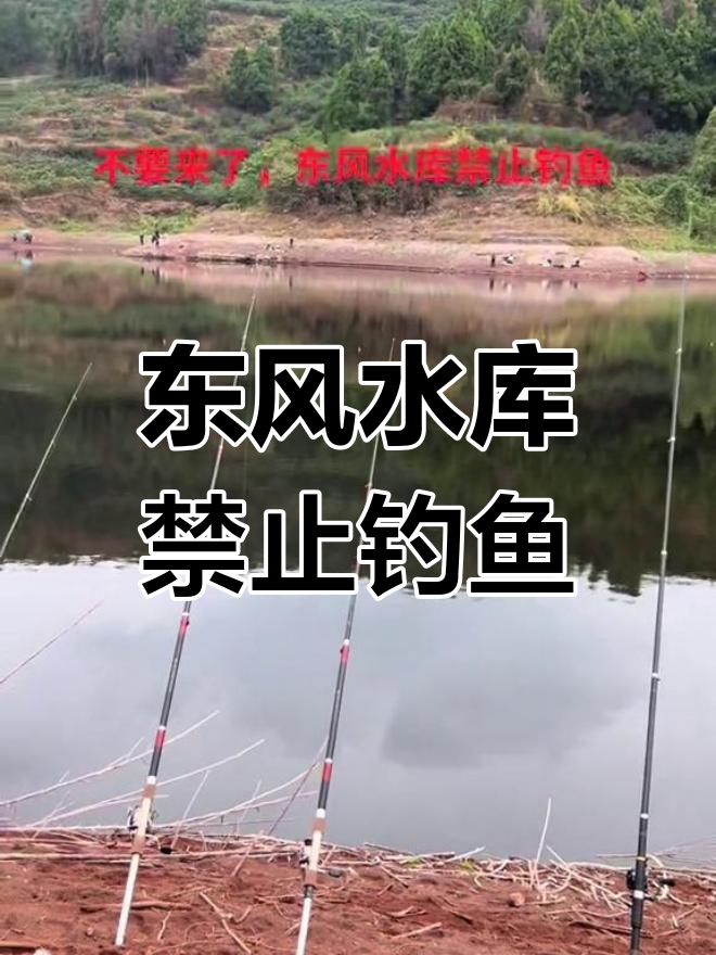 秋天钓鱼最佳时机,东风水库禁钓通知