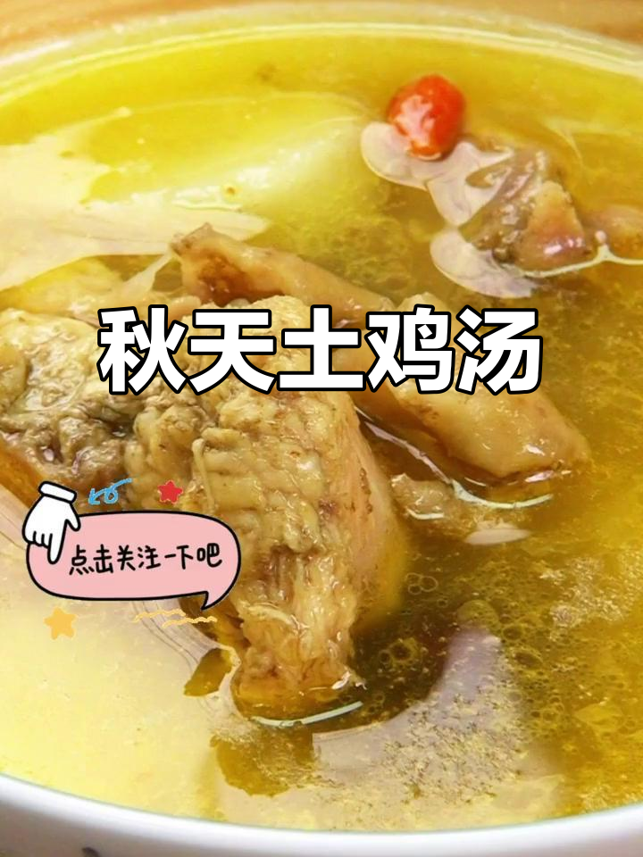 秋季必试土鸡山药汤,鲜香扑鼻,孩子老人都爱喝