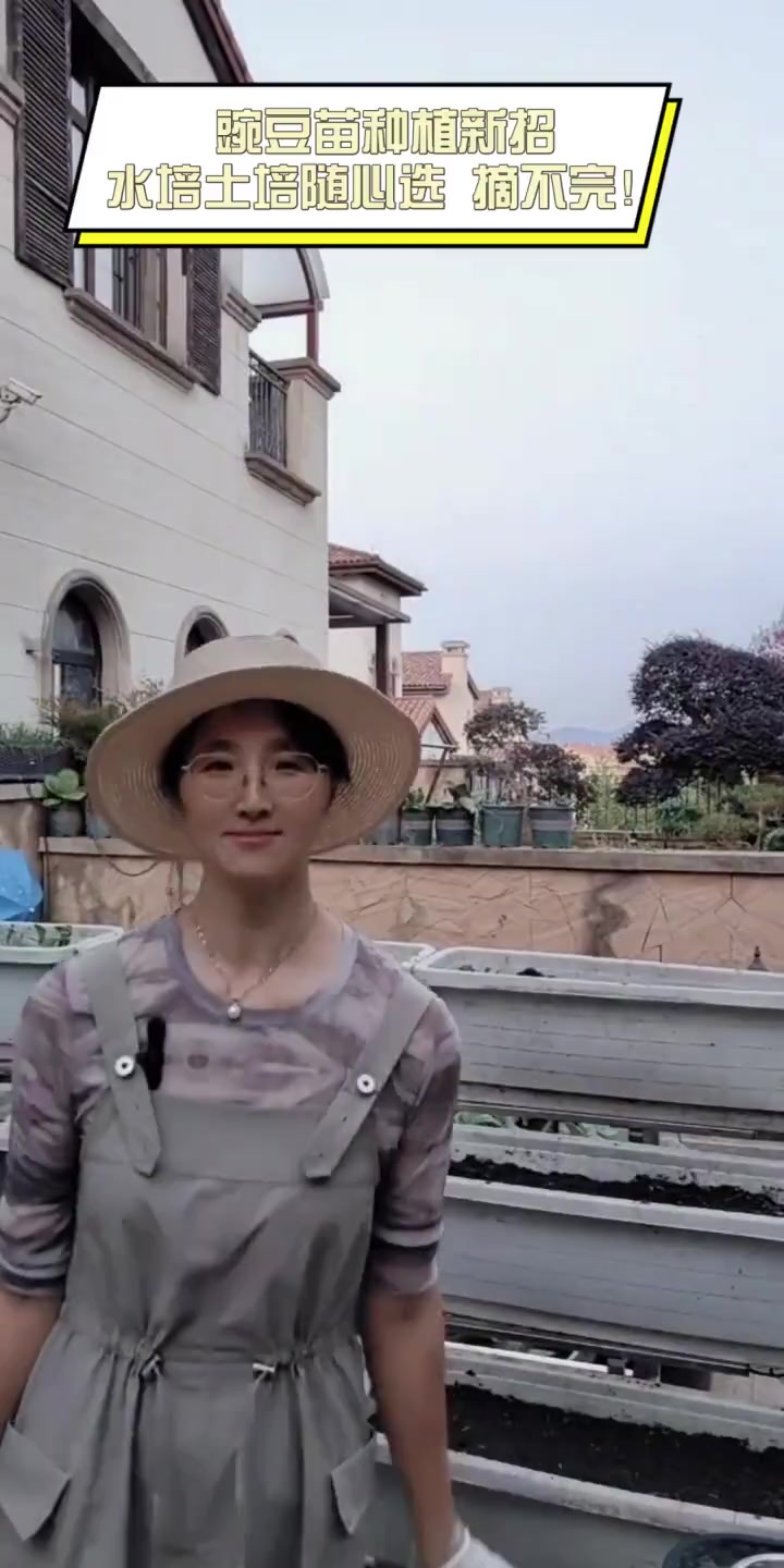 豌豆苗种植新招,水培土培随心选,摘不完!