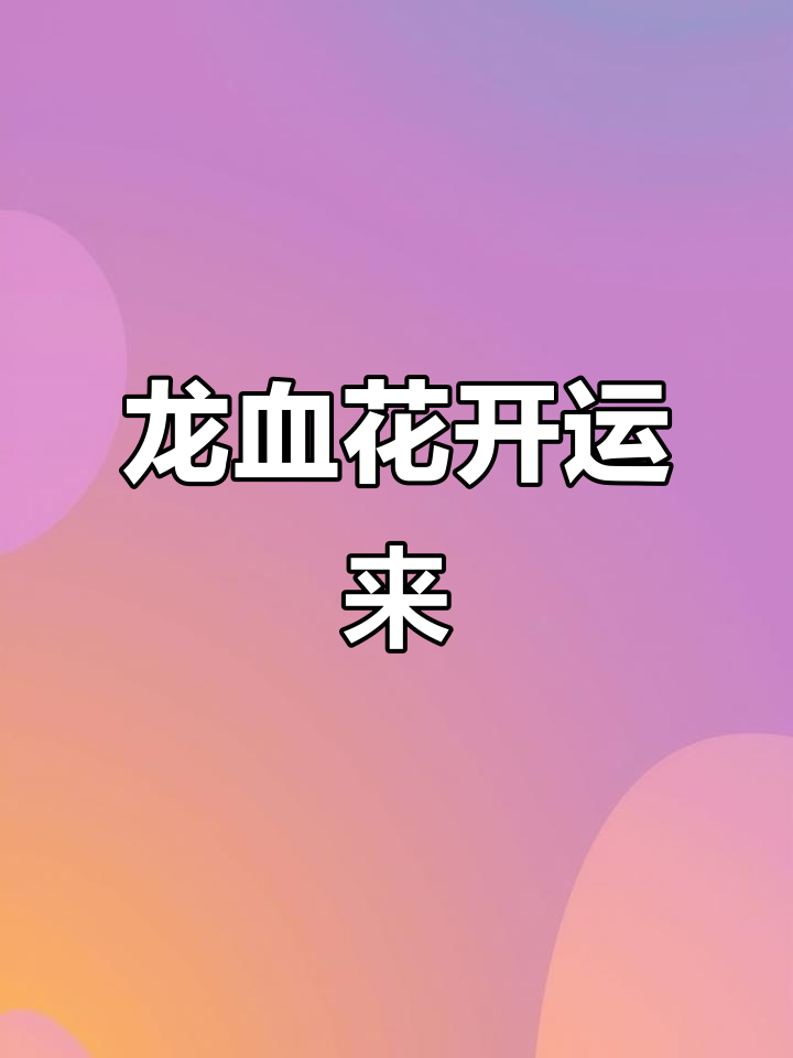 十年龙血树开花,好运降临,未来充满希望与惊喜