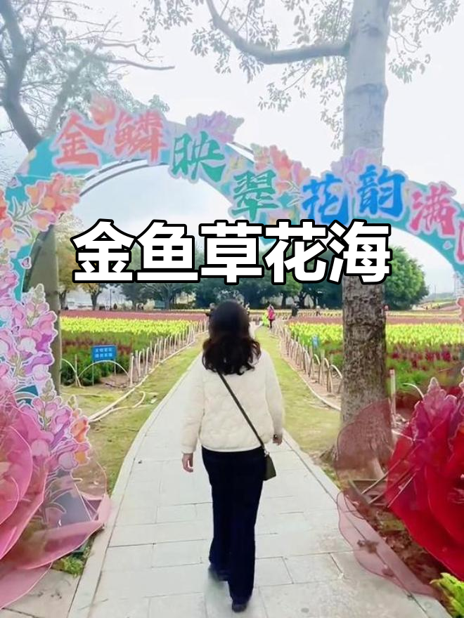 春风拂面,金鱼草花海如画,漫步其中宛如置身油画中