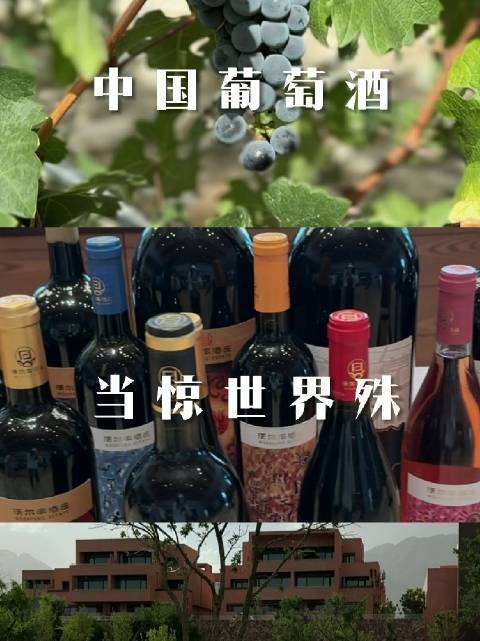 「中国葡萄酒看宁夏」“喝了这一杯,还有三杯～” 贺兰山东麓葡萄酒发挥“当惊世界殊”品牌优势