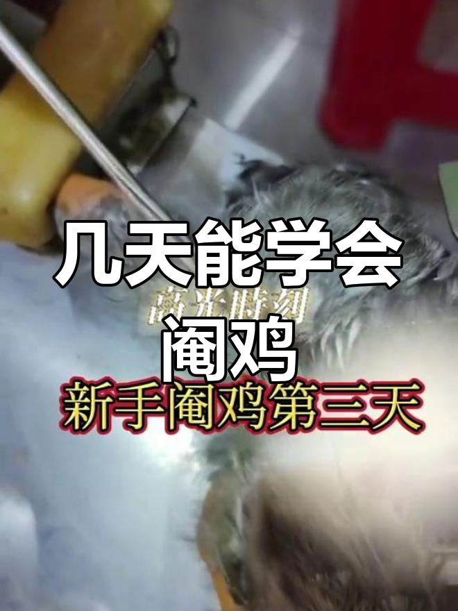 新手如何快速学会阉鸡技巧