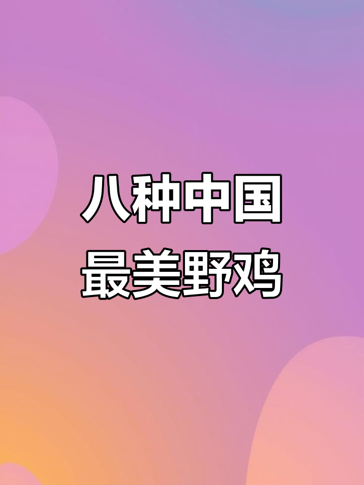 中国八大最美野鸡,哪种最惊艳?