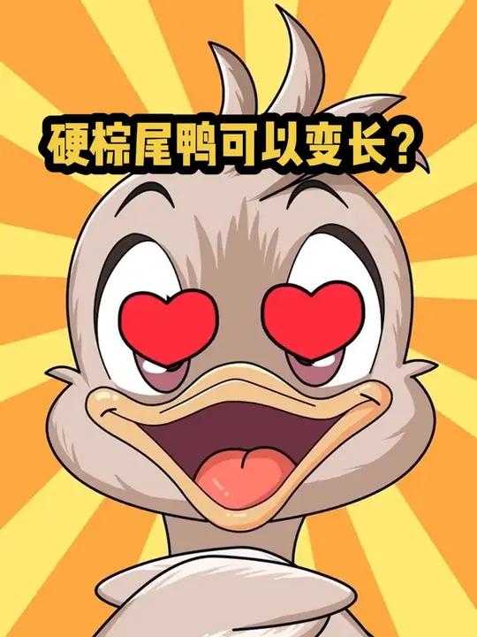 鸭鸭自己“卷”起来了