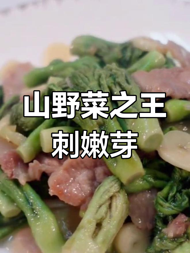 刺嫩芽的独特美味,山野菜之王的养生功效