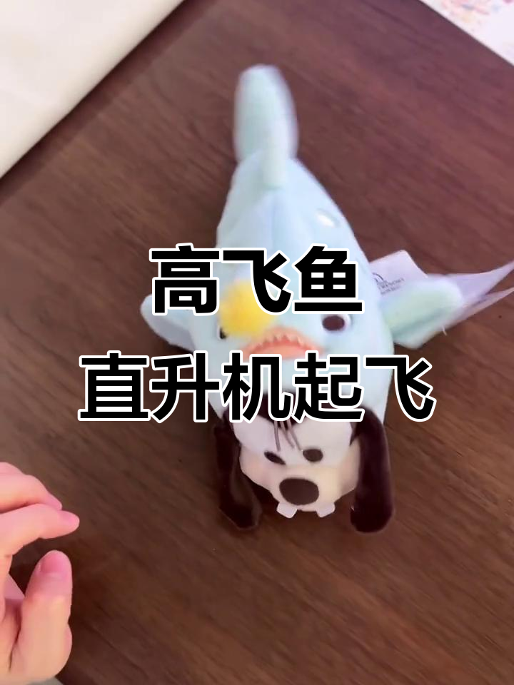 直升机高飞鱼起飞,速度惊人!