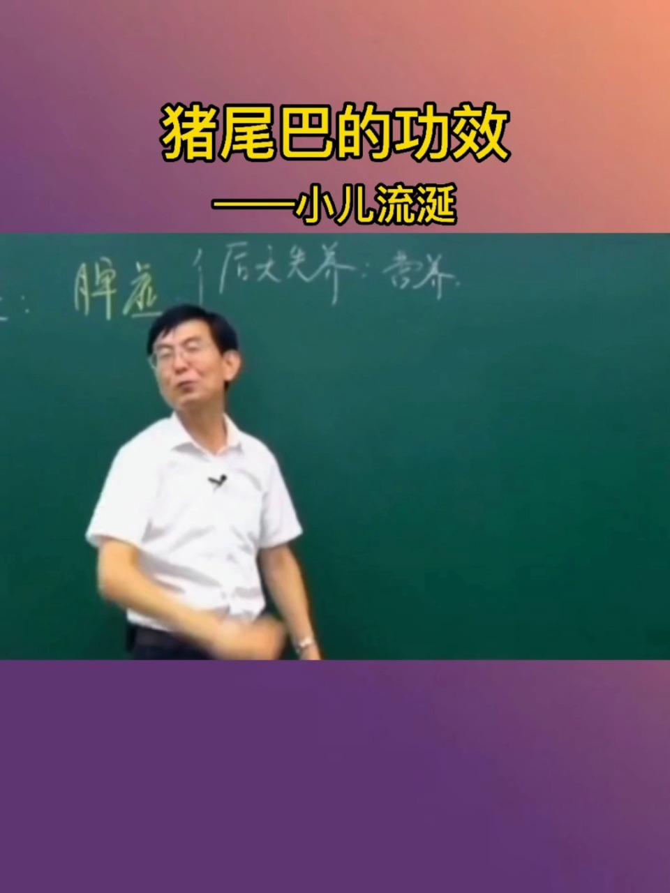 猪尾巴的功效——小儿流涎