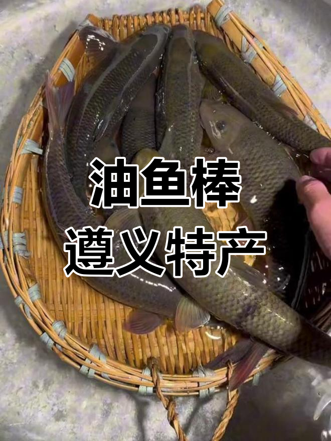 云贵川特色油鱼棒,口感鲜美,生态健康