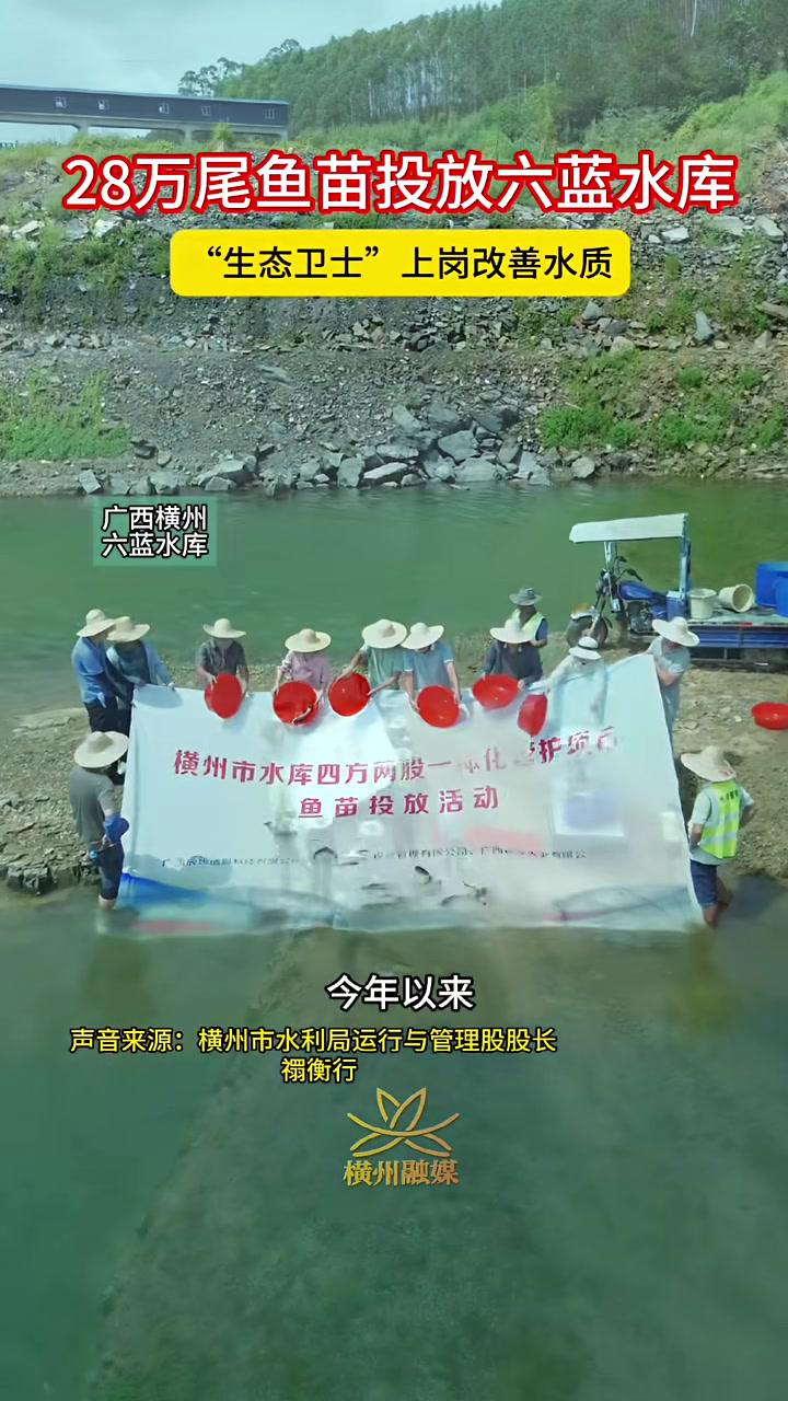 7月14日,横州市水库四方两股一体化管护项目鱼苗投放活动在六蓝水库举行。生态保护 绿水青山