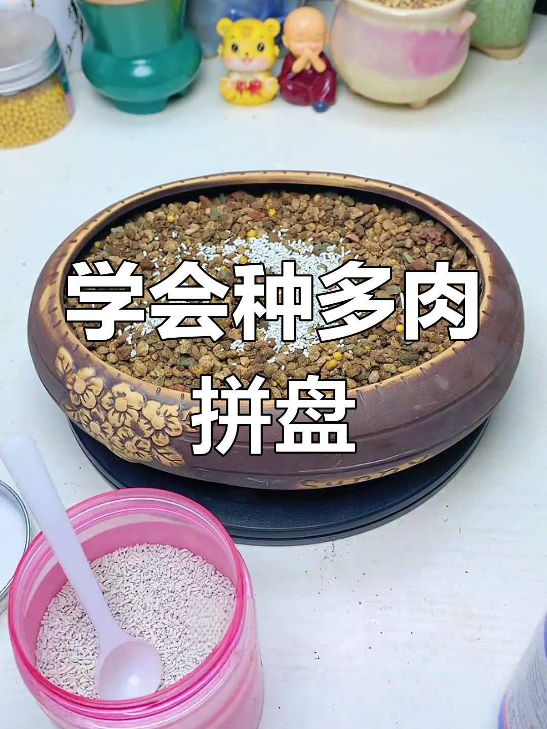 多肉拼盘种植技巧,轻松打造美丽多肉景观