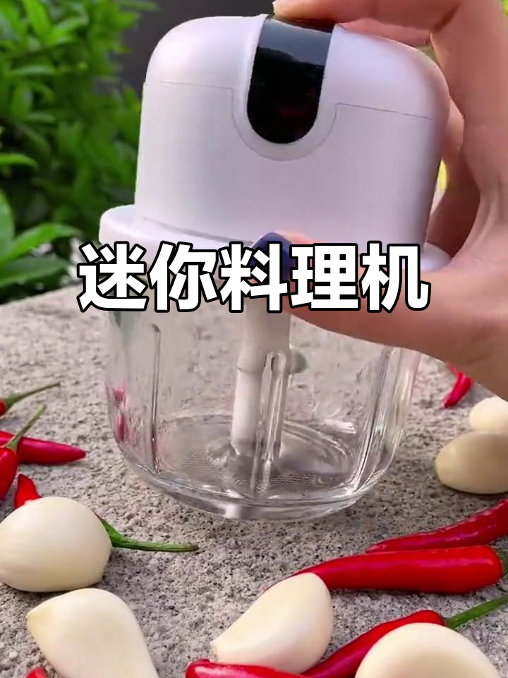 小型料理机与绞肉机的完美结合,家庭厨房必备!