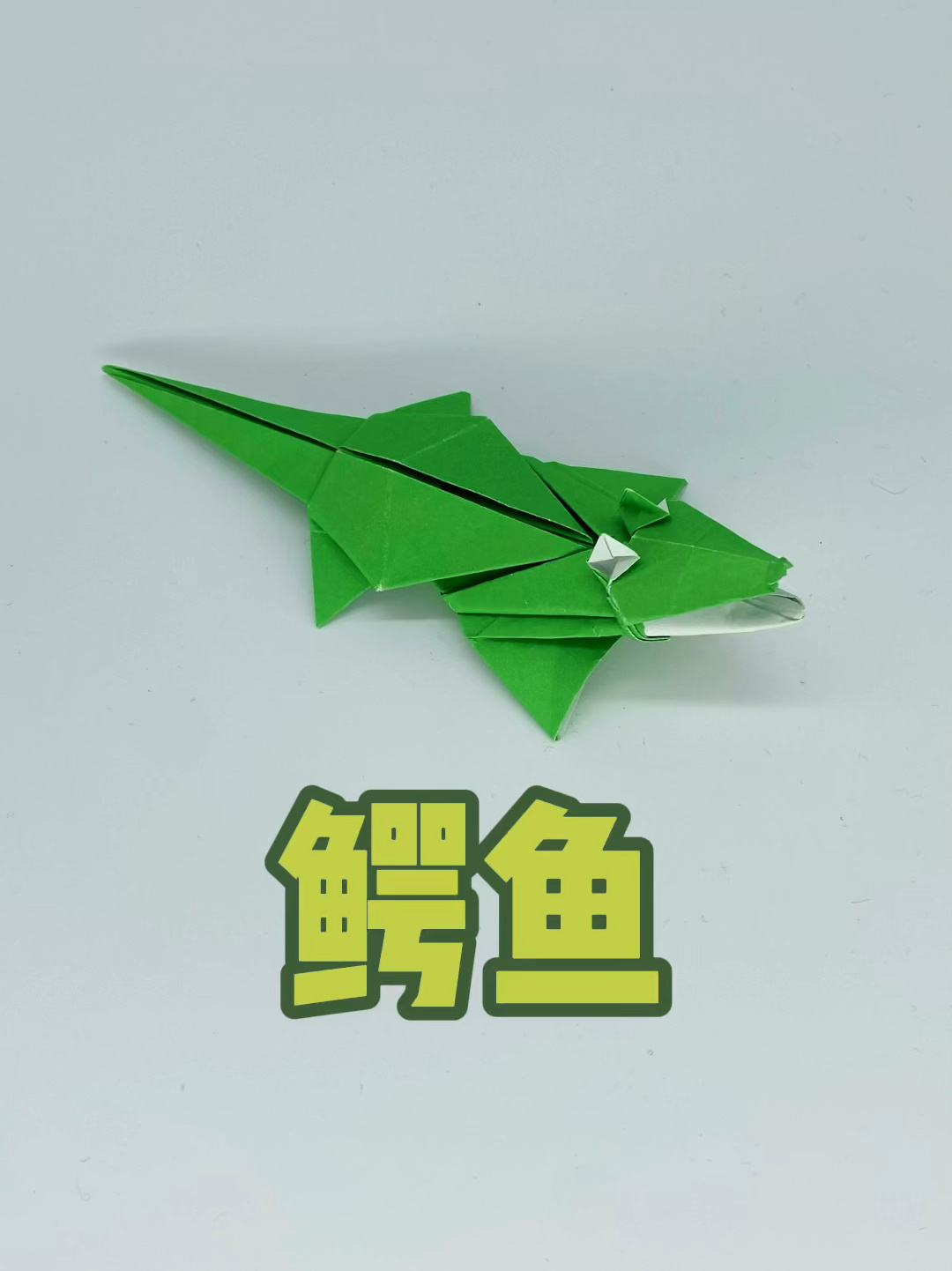 折一条鳄鱼