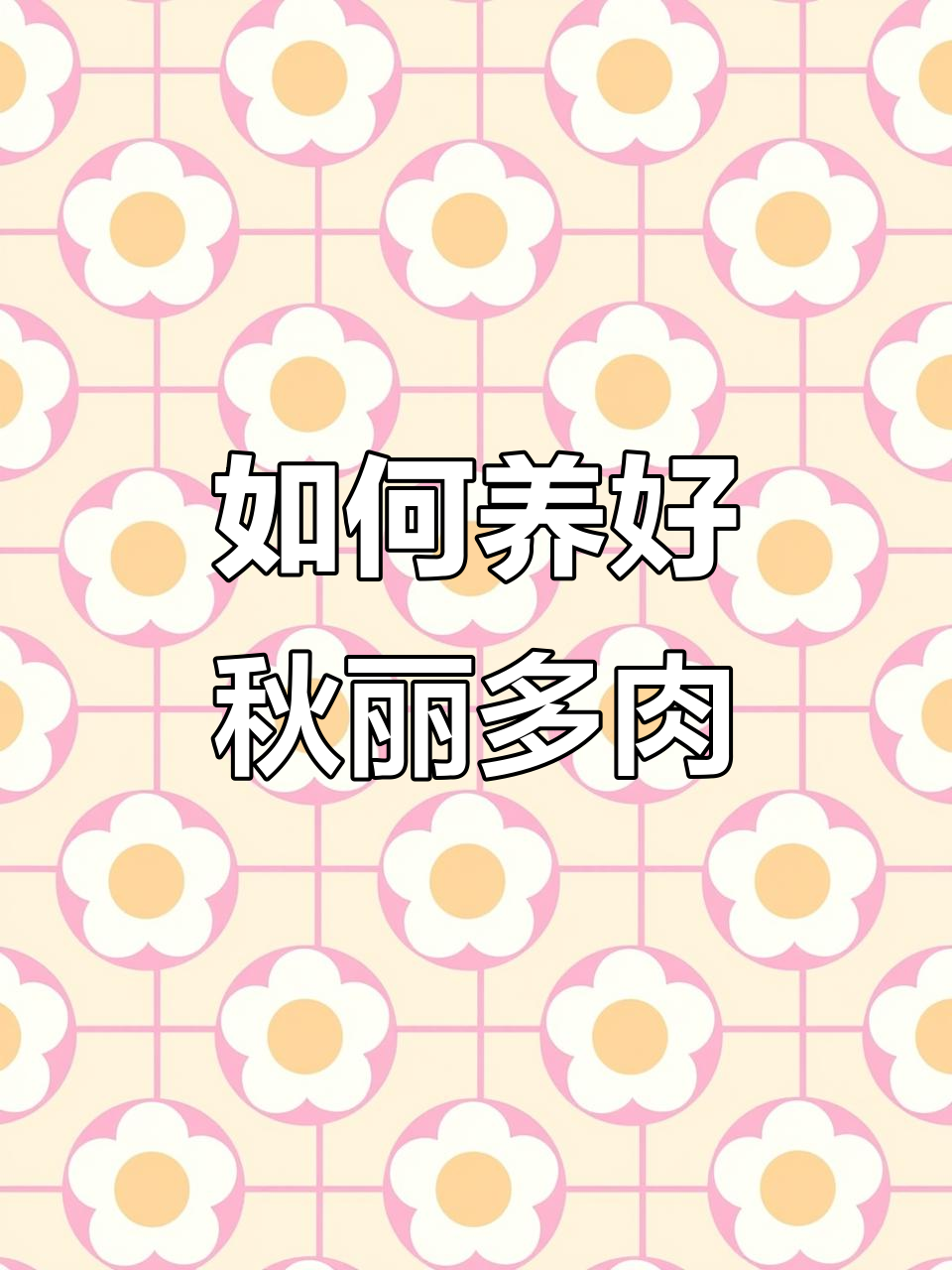 秋丽多肉养护全攻略:浇水、光照与繁殖技巧