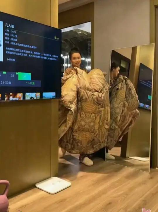 比专柜便宜这么多!严选富安那品牌欧式精品95鹅丝绒秋冬被 好物推荐 被子秋冬款 家纺床上用