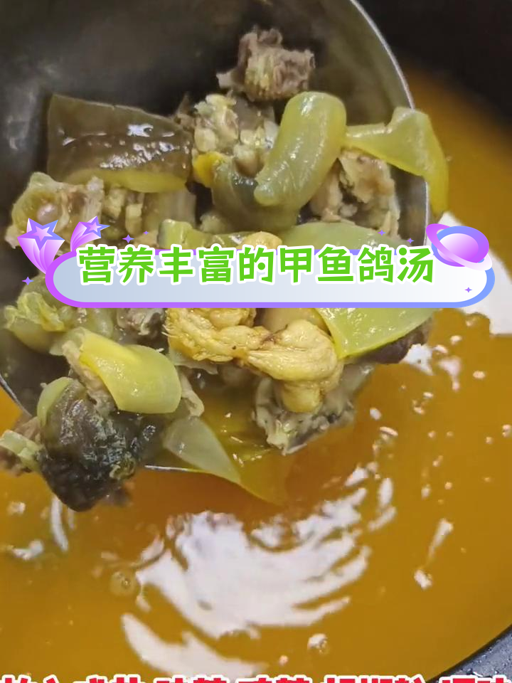 甲鱼鸽子汤:滋补养生,男女皆宜