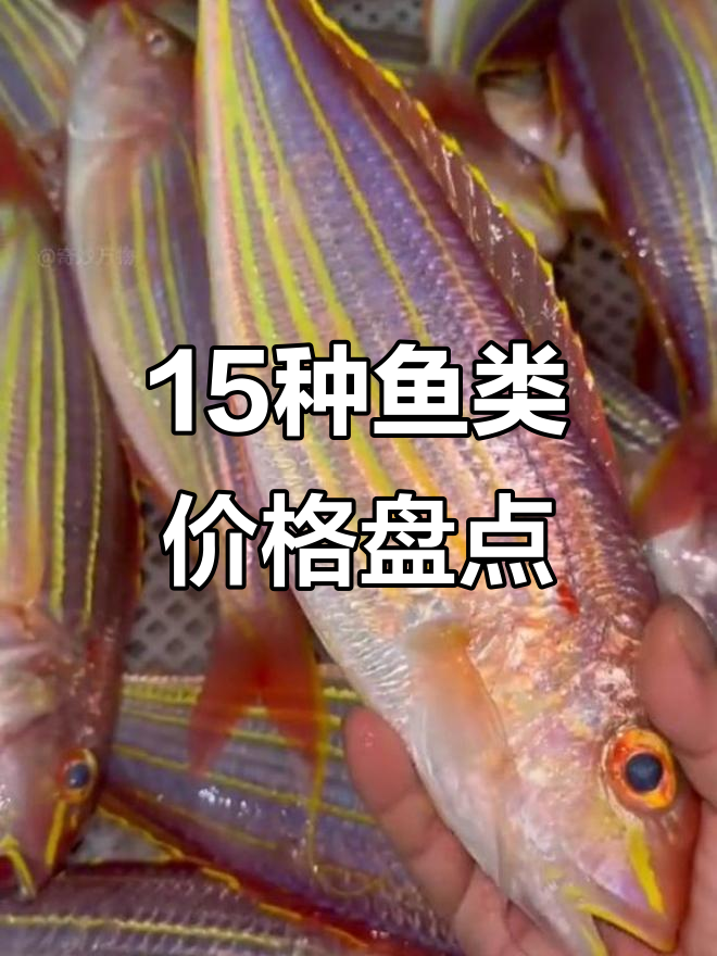 15种常见鱼价格大揭秘，从石头鱼到罗非鱼的售价对比