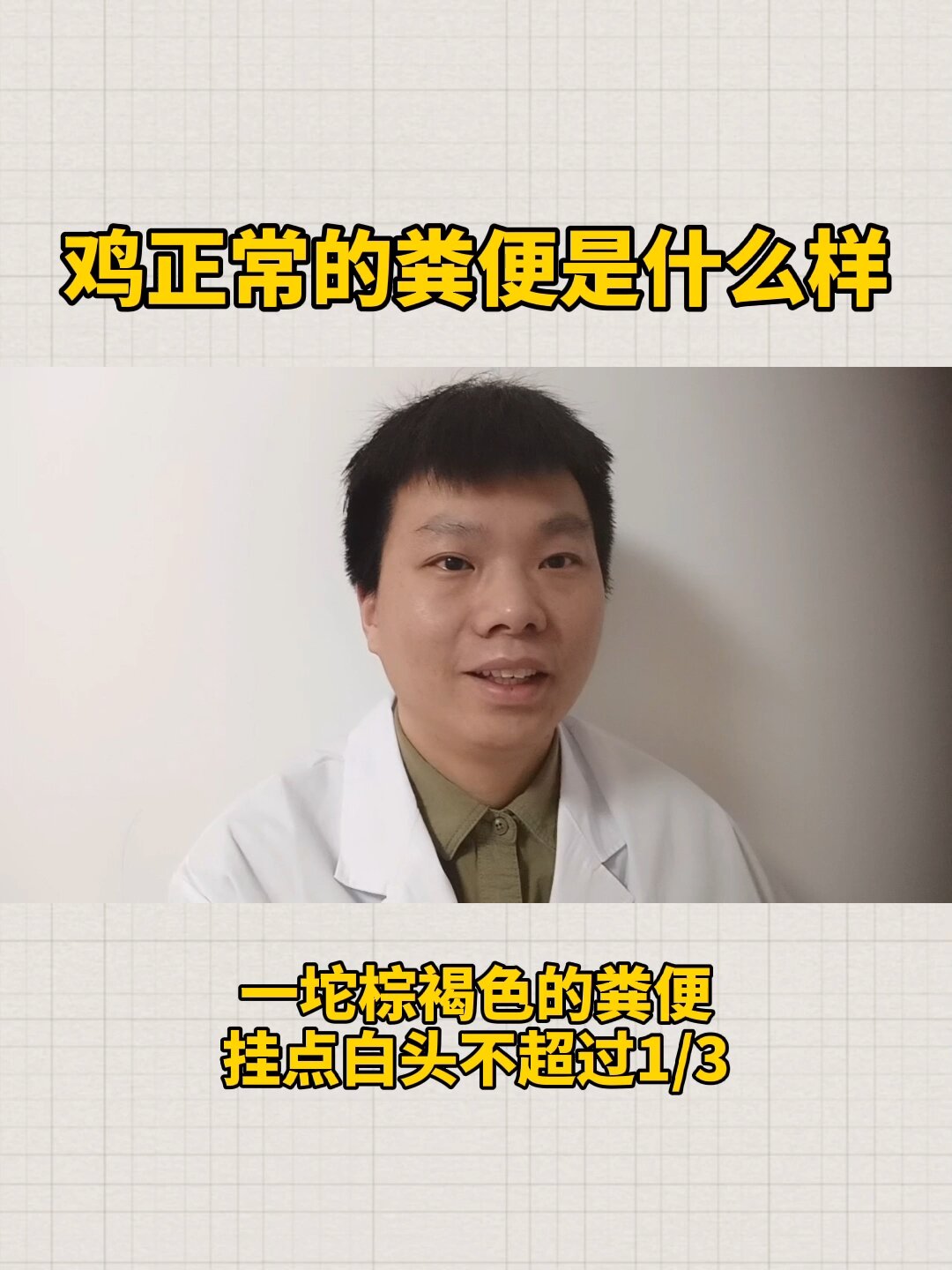 鸡正常的粪便是什么样